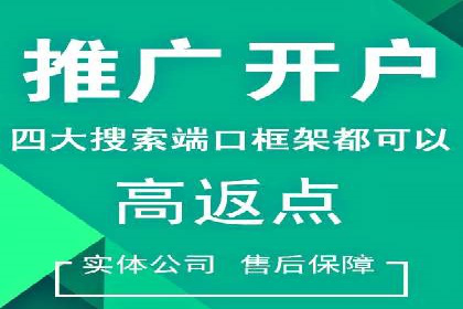 专业SEM代运营推广公司成功案例分享